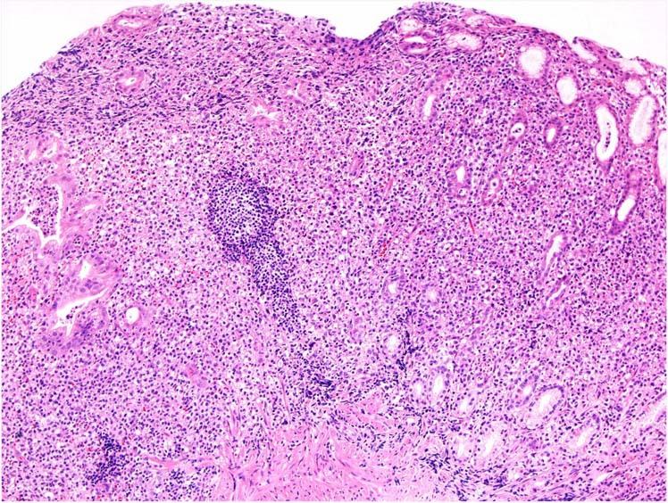 https://cdn.ncbi.nlm.nih.gov/pmc/blobs/7225/9252901/69695336811e/41375_2022_1620_Fig6_HTML.jpg