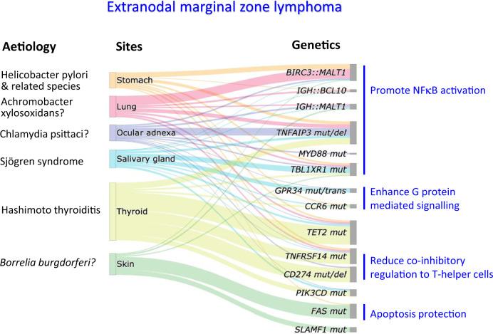 https://cdn.ncbi.nlm.nih.gov/pmc/blobs/7225/9252901/f692c61d0344/41375_2022_1620_Fig2_HTML.jpg