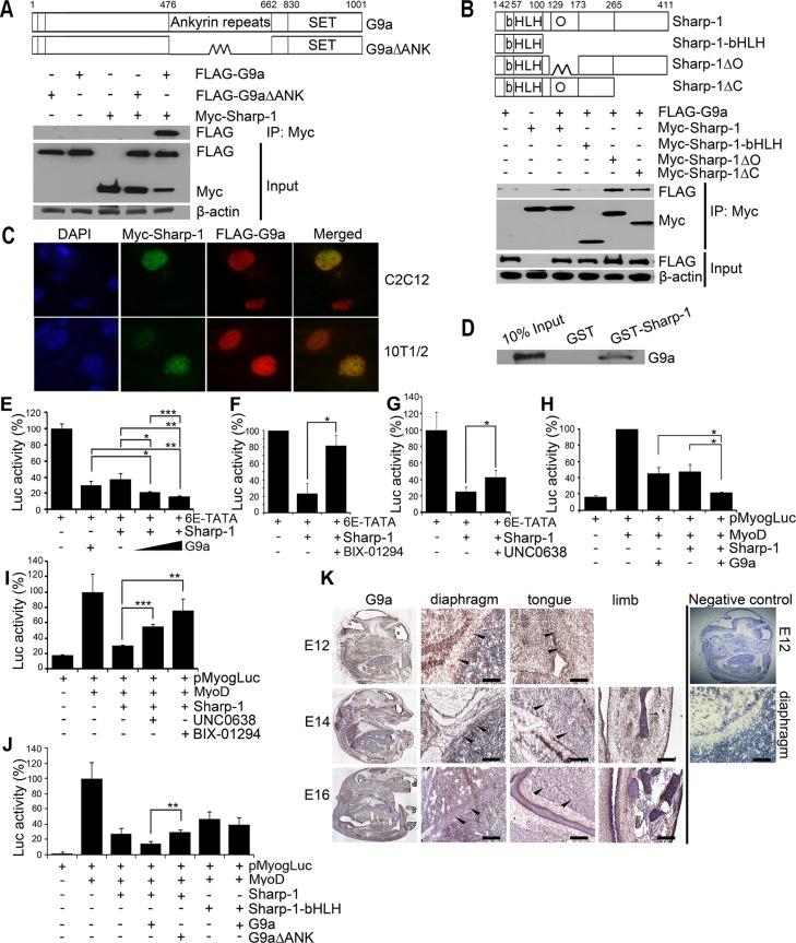 https://cdn.ncbi.nlm.nih.gov/pmc/blobs/7226/3521685/13946ca295af/4778fig1.jpg