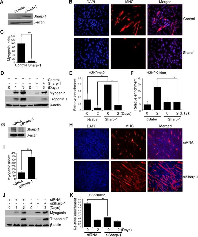 https://cdn.ncbi.nlm.nih.gov/pmc/blobs/7226/3521685/7251acb50bf8/4778fig2.jpg