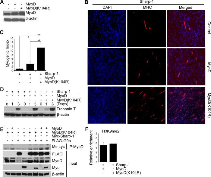 https://cdn.ncbi.nlm.nih.gov/pmc/blobs/7226/3521685/a1fd2564f652/4778fig4.jpg