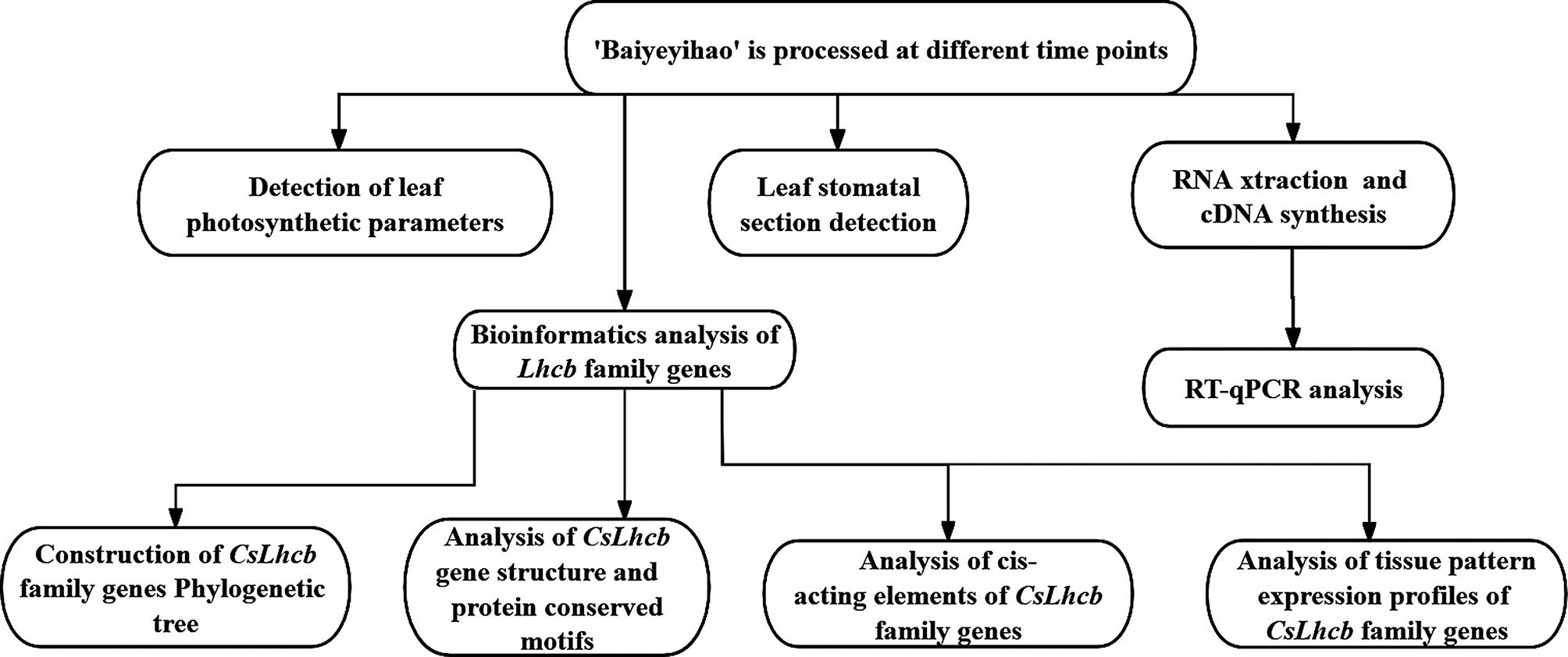 https://cdn.ncbi.nlm.nih.gov/pmc/blobs/722e/11044350/29213dd62ff4/12870_2024_4958_Fig10_HTML.jpg