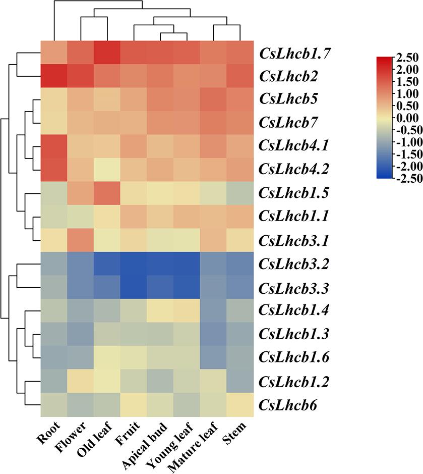 https://cdn.ncbi.nlm.nih.gov/pmc/blobs/722e/11044350/6cc87e85b069/12870_2024_4958_Fig5_HTML.jpg