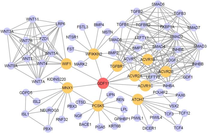 https://cdn.ncbi.nlm.nih.gov/pmc/blobs/722e/9055169/10e72048c8c8/j_biol-2022-0044-fig001.jpg