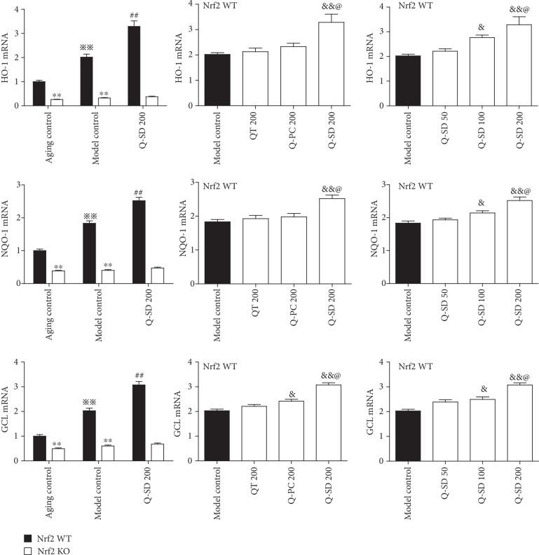 https://cdn.ncbi.nlm.nih.gov/pmc/blobs/7230/6875405/220373800e07/OMCL2019-1479571.005.jpg