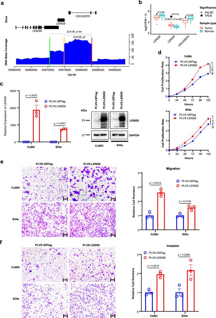 https://cdn.ncbi.nlm.nih.gov/pmc/blobs/7230/9091225/d8f33ba0a320/41467_2022_30190_Fig6_HTML.jpg
