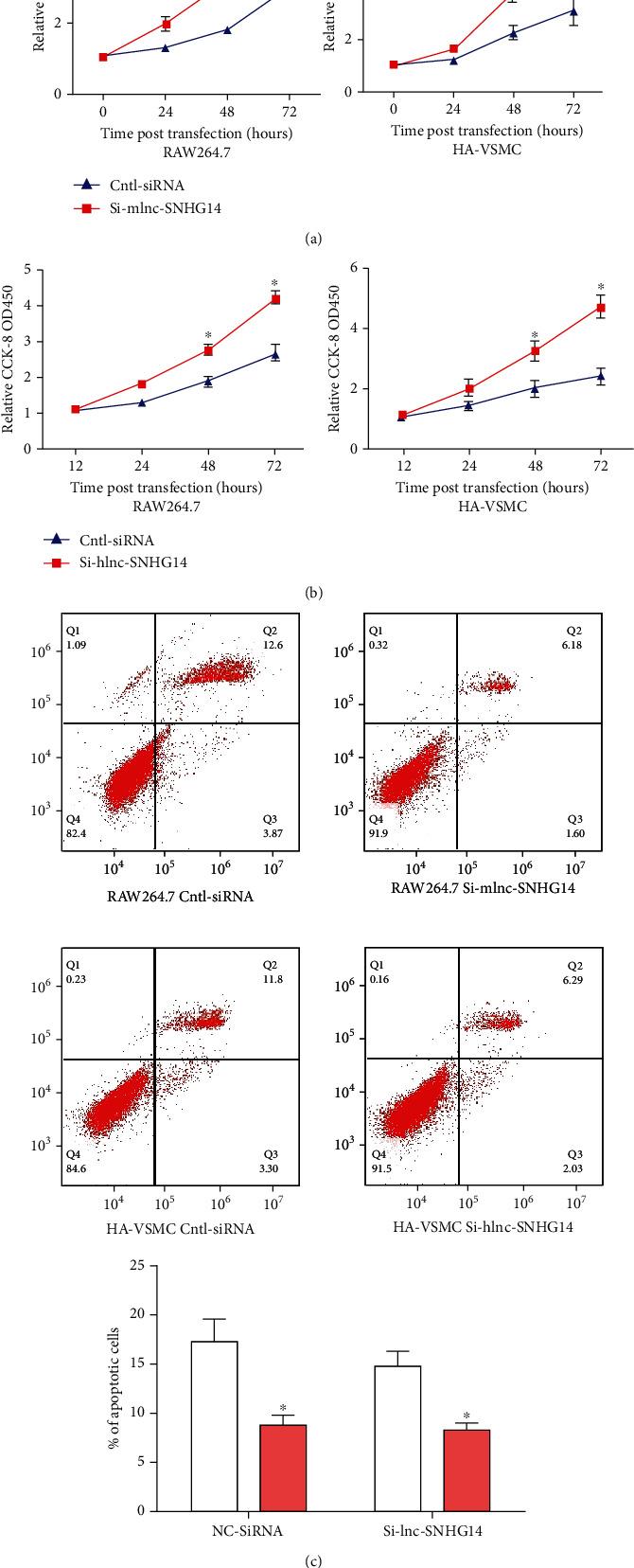 https://cdn.ncbi.nlm.nih.gov/pmc/blobs/7231/7468621/2776bbeaf651/CMMM2020-3128053.002.jpg