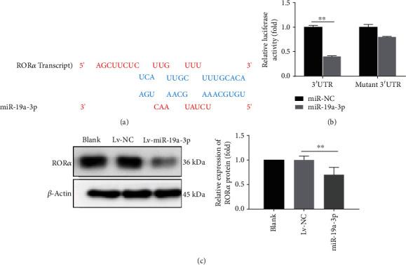 https://cdn.ncbi.nlm.nih.gov/pmc/blobs/7231/7468621/535088465aab/CMMM2020-3128053.004.jpg