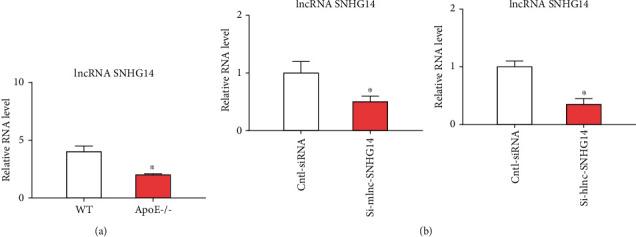 https://cdn.ncbi.nlm.nih.gov/pmc/blobs/7231/7468621/f5bf8c17d781/CMMM2020-3128053.001.jpg