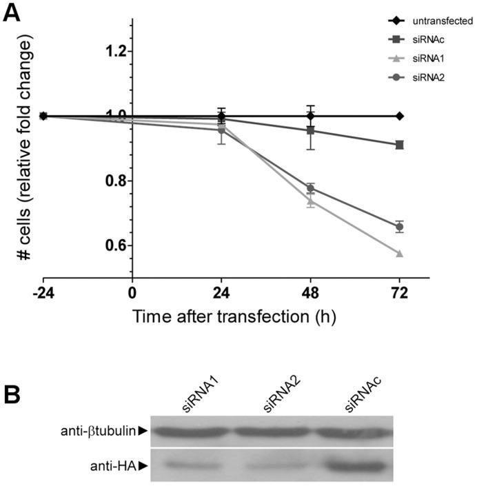 https://cdn.ncbi.nlm.nih.gov/pmc/blobs/7234/3393725/b155b120b3e2/pone.0038508.g002.jpg