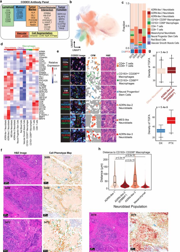 https://cdn.ncbi.nlm.nih.gov/pmc/blobs/7237/12081299/3b0e1746d890/41588_2025_2158_Fig17_ESM.jpg
