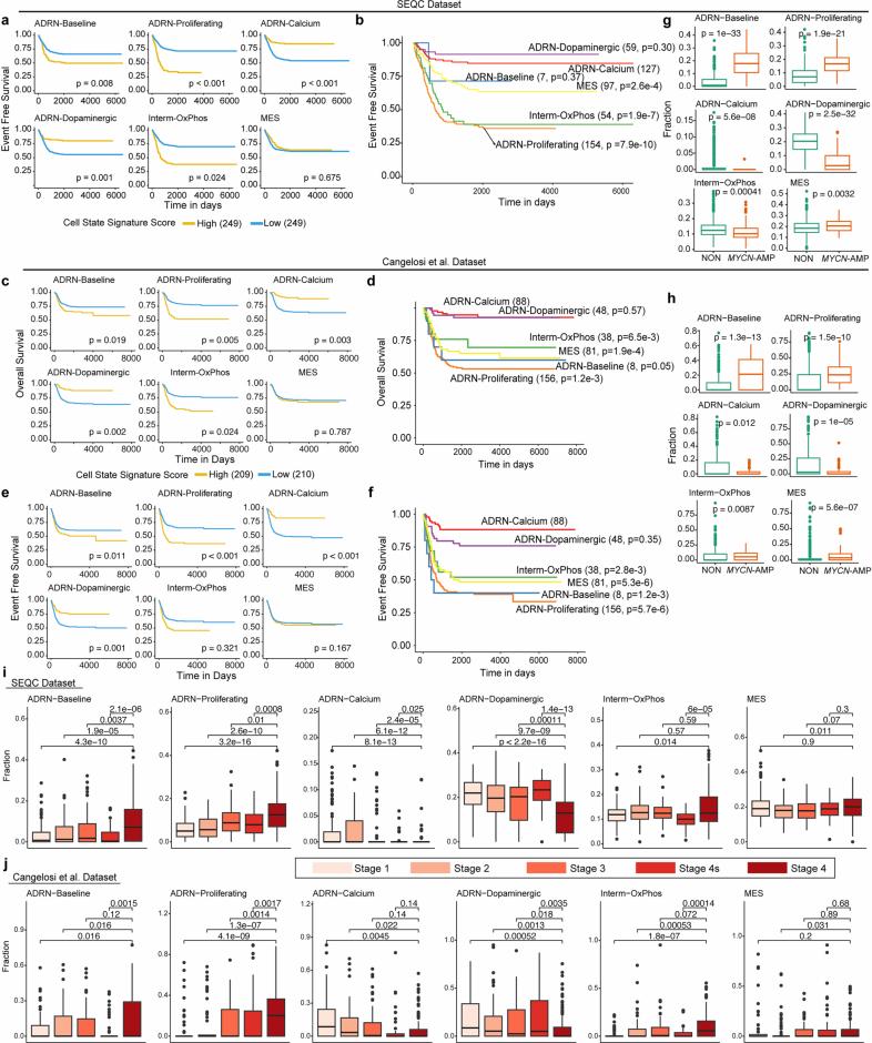 https://cdn.ncbi.nlm.nih.gov/pmc/blobs/7237/12081299/511550dc7695/41588_2025_2158_Fig12_ESM.jpg