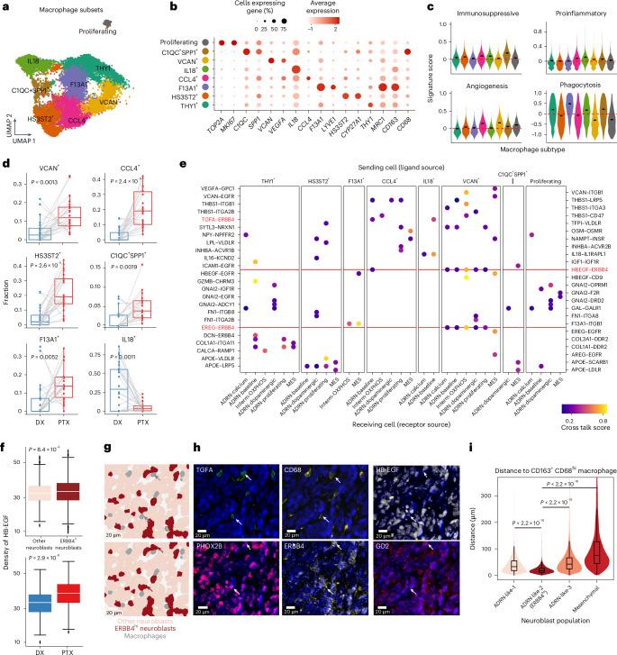 https://cdn.ncbi.nlm.nih.gov/pmc/blobs/7237/12081299/68bcefb95a77/41588_2025_2158_Fig4_HTML.jpg