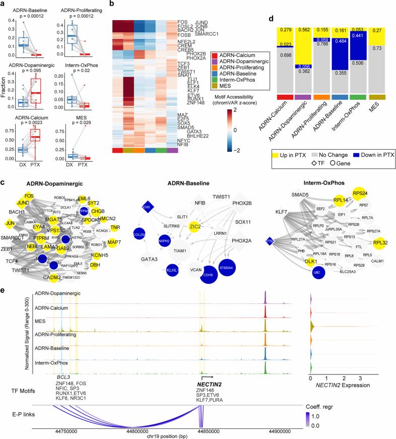 https://cdn.ncbi.nlm.nih.gov/pmc/blobs/7237/12081299/72ee5d439120/41588_2025_2158_Fig14_ESM.jpg
