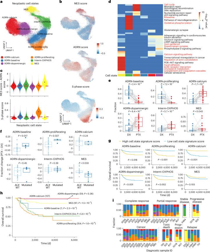 https://cdn.ncbi.nlm.nih.gov/pmc/blobs/7237/12081299/d761628b01a5/41588_2025_2158_Fig2_HTML.jpg