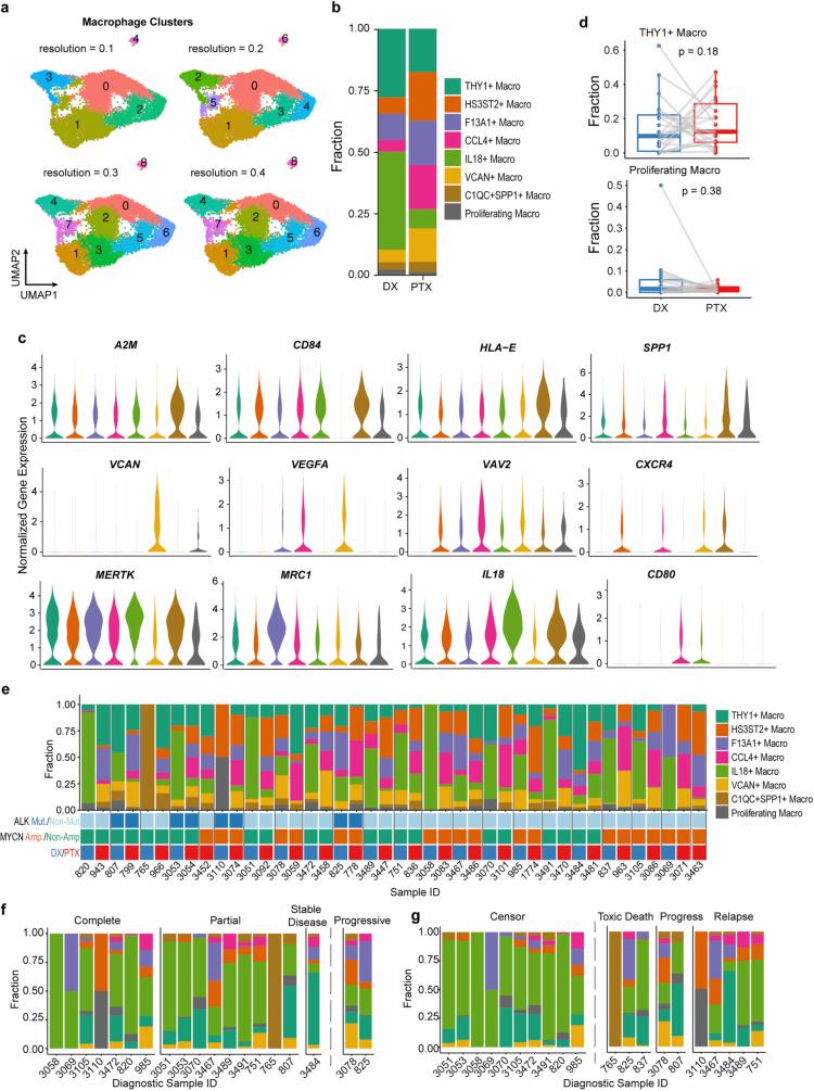 https://cdn.ncbi.nlm.nih.gov/pmc/blobs/7237/12081299/f93fe35c36d0/41588_2025_2158_Fig15_ESM.jpg