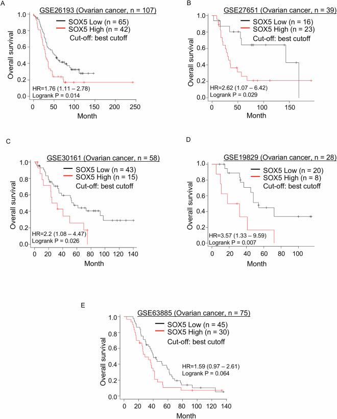 https://cdn.ncbi.nlm.nih.gov/pmc/blobs/7238/12022250/bd812de421bd/41419_2025_7660_Fig7_HTML.jpg