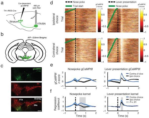 https://cdn.ncbi.nlm.nih.gov/pmc/blobs/723a/4882228/3dca94e29b5d/nihms-769081-f0007.jpg