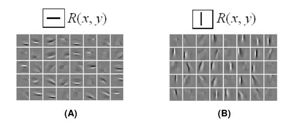 https://cdn.ncbi.nlm.nih.gov/pmc/blobs/723c/2865487/2ca9d22e9298/1471-2202-11-43-3.jpg