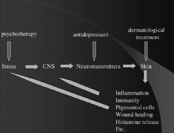 https://cdn.ncbi.nlm.nih.gov/pmc/blobs/723c/3555375/0a69ec4ea83f/IJD-58-56-g001.jpg