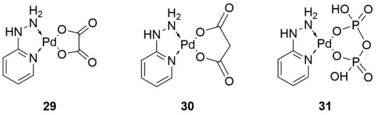https://cdn.ncbi.nlm.nih.gov/pmc/blobs/723c/8347039/c0315df15ffc/ijms-22-08271-g013.jpg