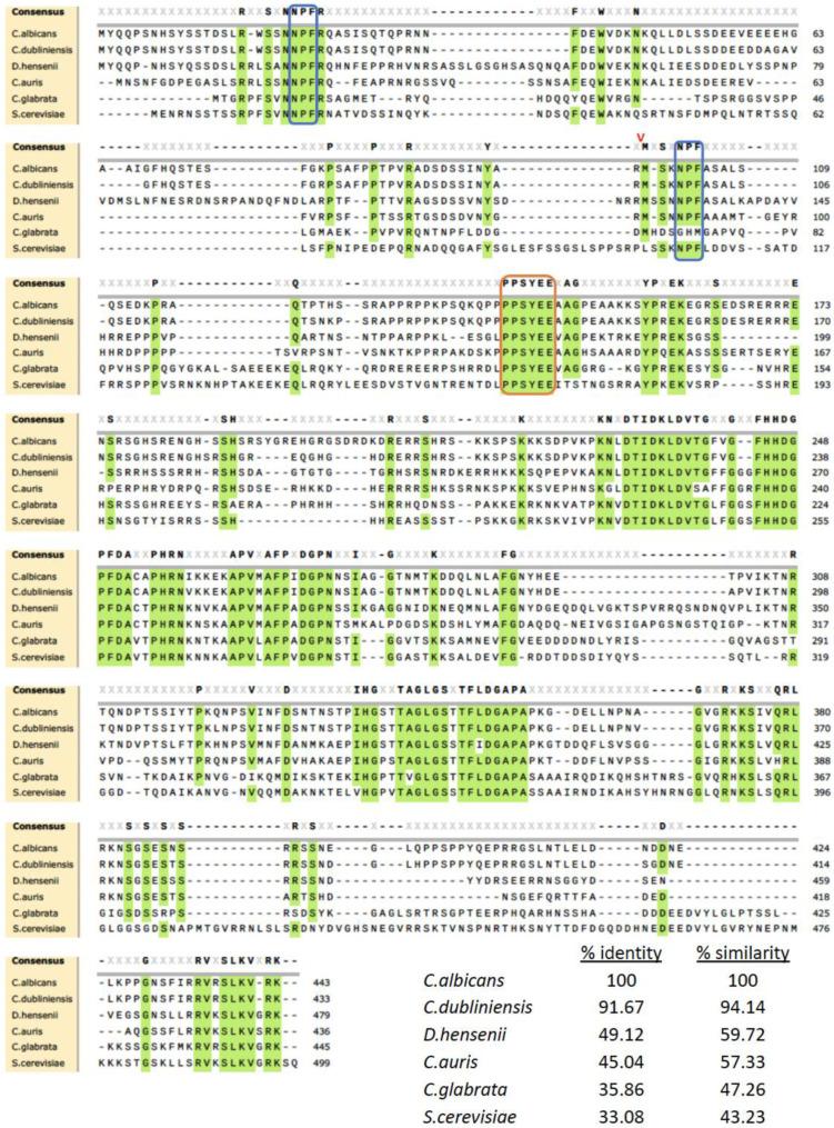 https://cdn.ncbi.nlm.nih.gov/pmc/blobs/723d/10672141/e528cd5b8645/jof-09-01097-g001.jpg