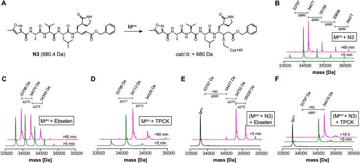 https://cdn.ncbi.nlm.nih.gov/pmc/blobs/723d/8006714/3e0be476e84a/d0cc06870e-f2.jpg