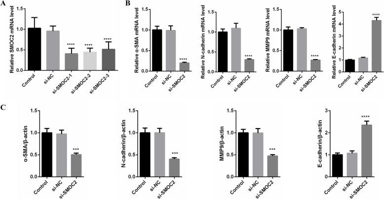 https://cdn.ncbi.nlm.nih.gov/pmc/blobs/723e/11969827/0a8425c71943/12905_2025_3700_Fig5_HTML.jpg