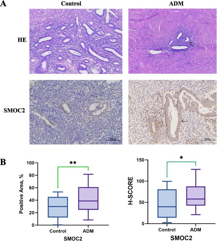 https://cdn.ncbi.nlm.nih.gov/pmc/blobs/723e/11969827/2d1ac5ed74ff/12905_2025_3700_Fig2_HTML.jpg