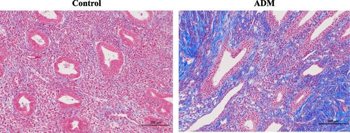 https://cdn.ncbi.nlm.nih.gov/pmc/blobs/723e/11969827/e94c54a0fc3b/12905_2025_3700_Fig1_HTML.jpg
