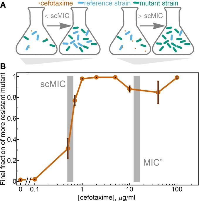 https://cdn.ncbi.nlm.nih.gov/pmc/blobs/723e/4547850/e5302315e4e9/msb0011-0822-f3.jpg