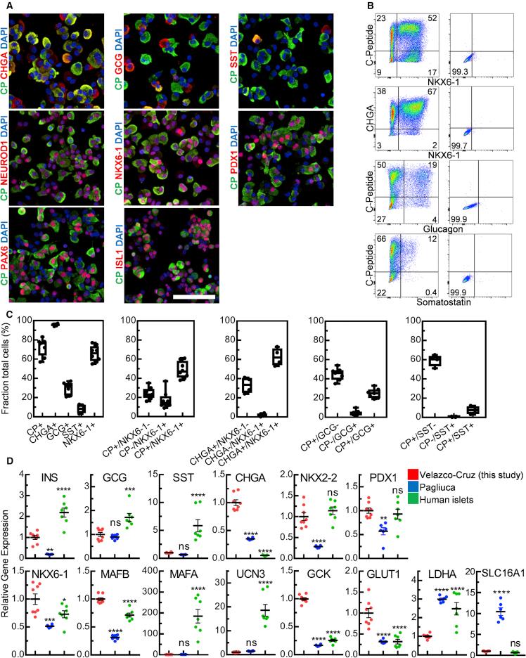 https://cdn.ncbi.nlm.nih.gov/pmc/blobs/723f/6372986/3ca7b4c22759/gr2.jpg