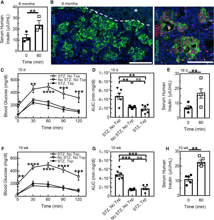 https://cdn.ncbi.nlm.nih.gov/pmc/blobs/723f/6372986/697c872ba93d/gr3.jpg