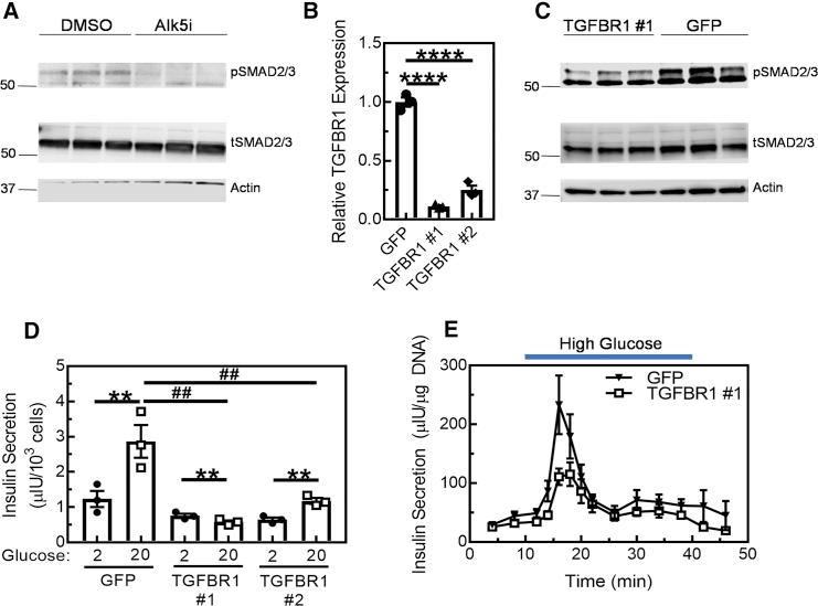 https://cdn.ncbi.nlm.nih.gov/pmc/blobs/723f/6372986/858464070b5f/gr6.jpg
