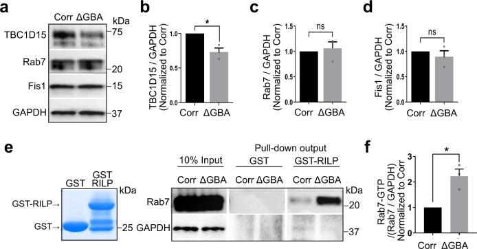 https://cdn.ncbi.nlm.nih.gov/pmc/blobs/723f/7985376/cdf1e3679a2d/41467_2021_22113_Fig4_HTML.jpg