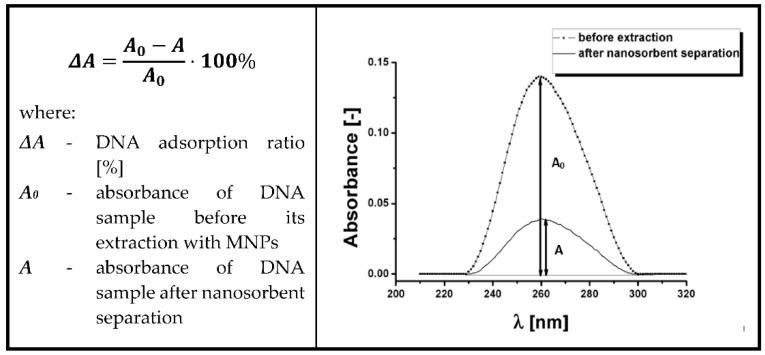 https://cdn.ncbi.nlm.nih.gov/pmc/blobs/7240/9408759/3d374788f34a/ijms-23-08860-g008.jpg