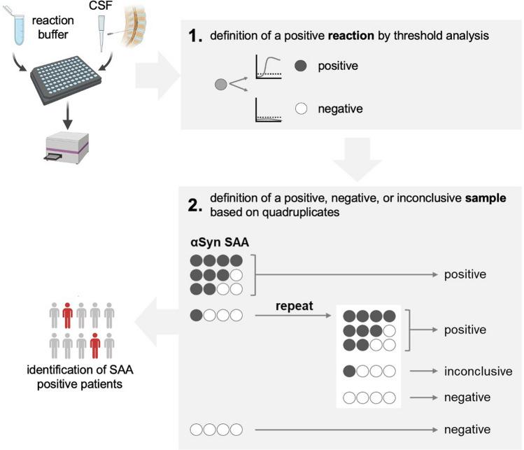 https://cdn.ncbi.nlm.nih.gov/pmc/blobs/7242/11842418/d026839f58bc/401_2025_2853_Fig1_HTML.jpg