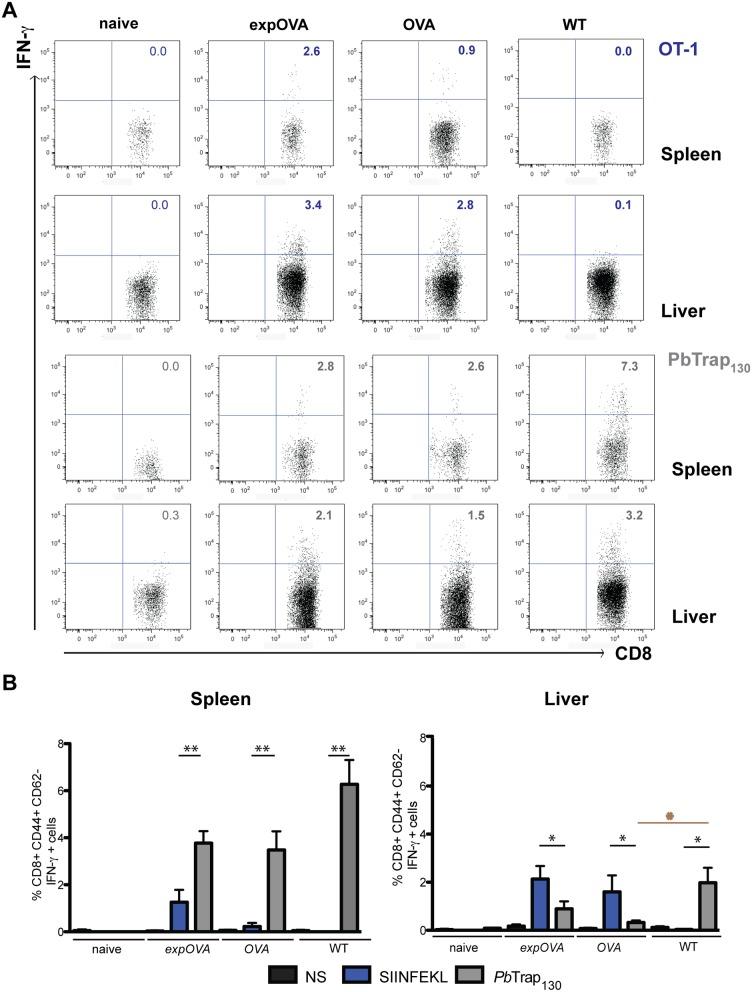 https://cdn.ncbi.nlm.nih.gov/pmc/blobs/7242/4128355/264b0f6ae702/mbo0041419230004.jpg