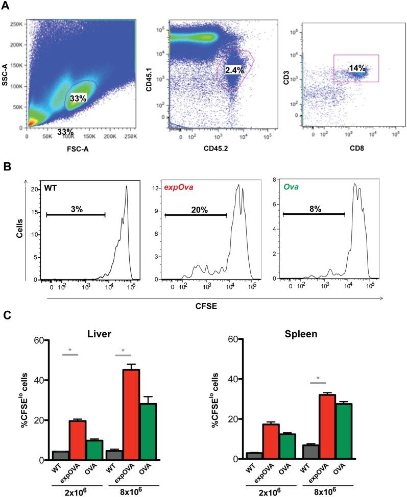https://cdn.ncbi.nlm.nih.gov/pmc/blobs/7242/4128355/537367bb5bd1/mbo0041419230003.jpg