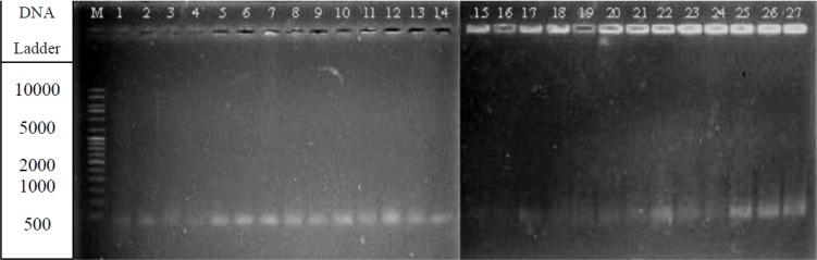 https://cdn.ncbi.nlm.nih.gov/pmc/blobs/7242/6308768/509e41e71432/EJHS2805-0615Fig1.jpg