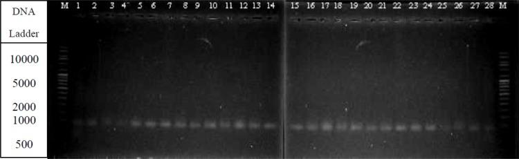 https://cdn.ncbi.nlm.nih.gov/pmc/blobs/7242/6308768/9f83221fd7e0/EJHS2805-0615Fig2.jpg