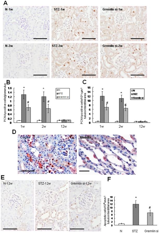 https://cdn.ncbi.nlm.nih.gov/pmc/blobs/7243/2908623/53e3b660d19f/pone.0011709.g003.jpg