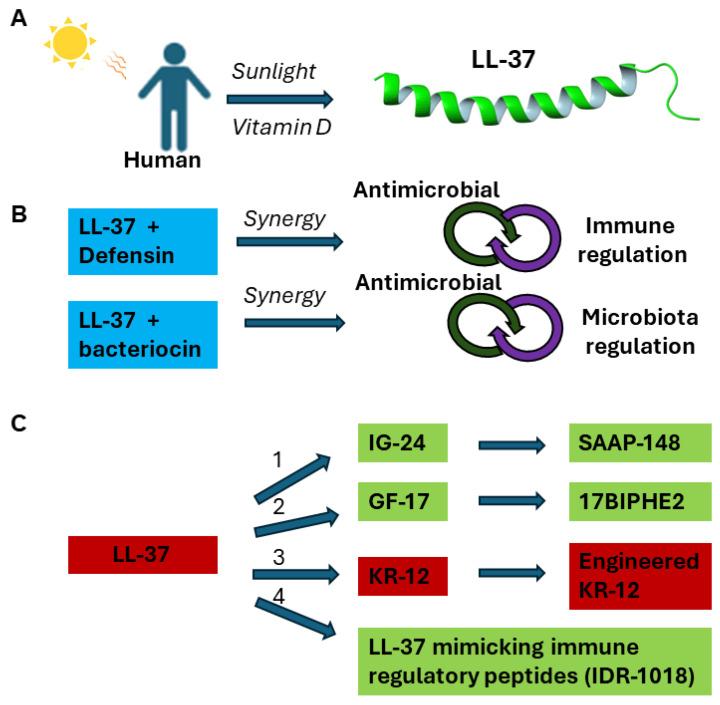 https://cdn.ncbi.nlm.nih.gov/pmc/blobs/7244/11429261/5ac70d2109b9/antibiotics-13-00816-g002.jpg