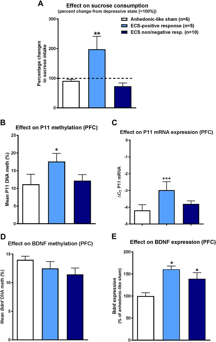 https://cdn.ncbi.nlm.nih.gov/pmc/blobs/7244/5802592/9c09bab74c78/41398_2017_77_Fig4_HTML.jpg