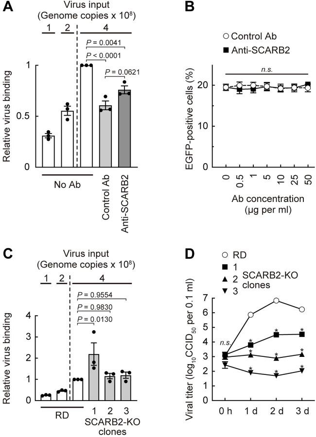 https://cdn.ncbi.nlm.nih.gov/pmc/blobs/7246/10901359/111a5535e405/ppat.1012022.g008.jpg