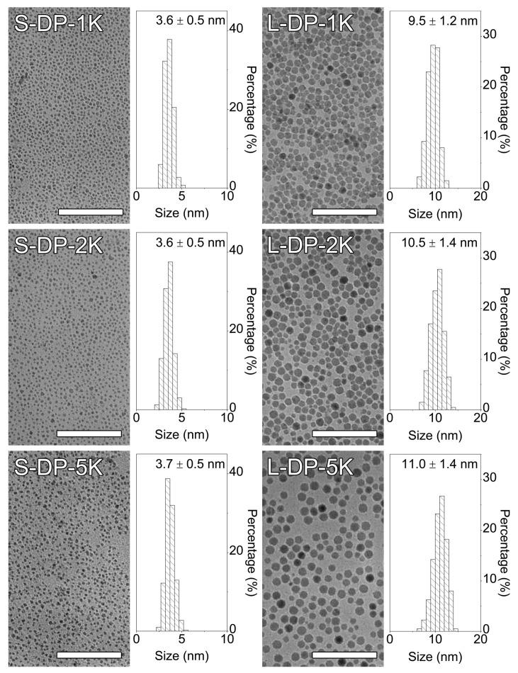 https://cdn.ncbi.nlm.nih.gov/pmc/blobs/7247/9370369/2e214a6ae32c/nanomaterials-12-02673-g002.jpg