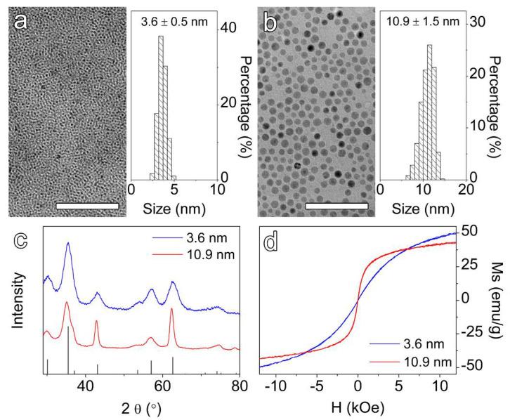 https://cdn.ncbi.nlm.nih.gov/pmc/blobs/7247/9370369/f18563caed95/nanomaterials-12-02673-g001.jpg