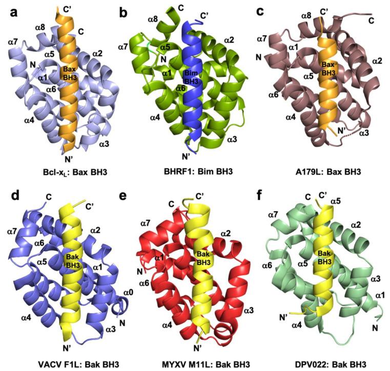 https://cdn.ncbi.nlm.nih.gov/pmc/blobs/7249/7823800/aef343035d46/pathogens-10-00006-g001.jpg
