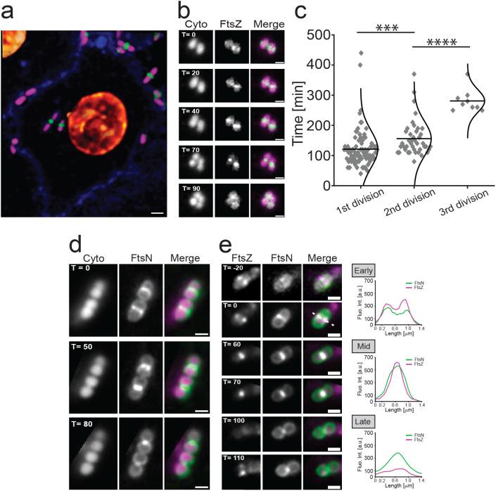 https://cdn.ncbi.nlm.nih.gov/pmc/blobs/724a/12407437/dabde9f33ef0/pbio.3003366.g002.jpg