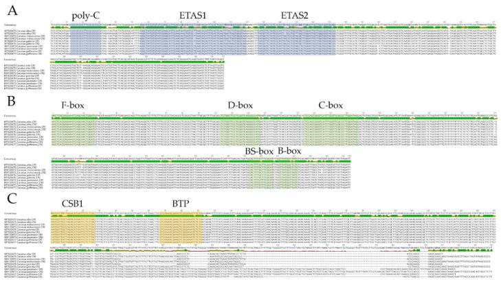 https://cdn.ncbi.nlm.nih.gov/pmc/blobs/724a/7910981/2a2579dbdf6d/genes-12-00209-g003.jpg